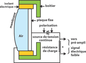 Schéma de fonctionnement du microphone électrostatique — diaphragme, contre-électrode, polarisation